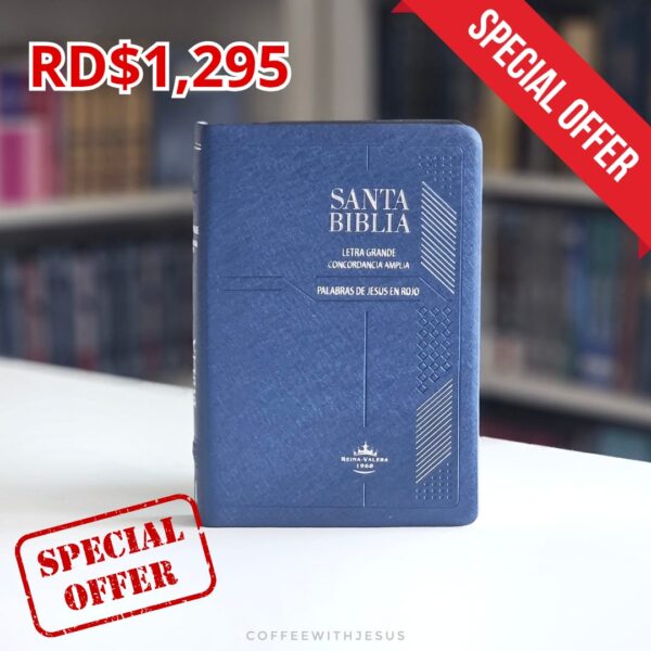 SANTA LETRA GRANDE CONCORDANCIA BIBLIA VINIL AZUL