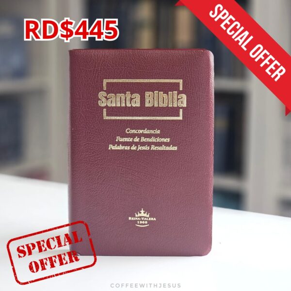 SANTA BIBLIA FUENTE DE BENDICIONES VINO