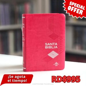 SANTA BIBLIA RVR60 Cereza Filo Plateado