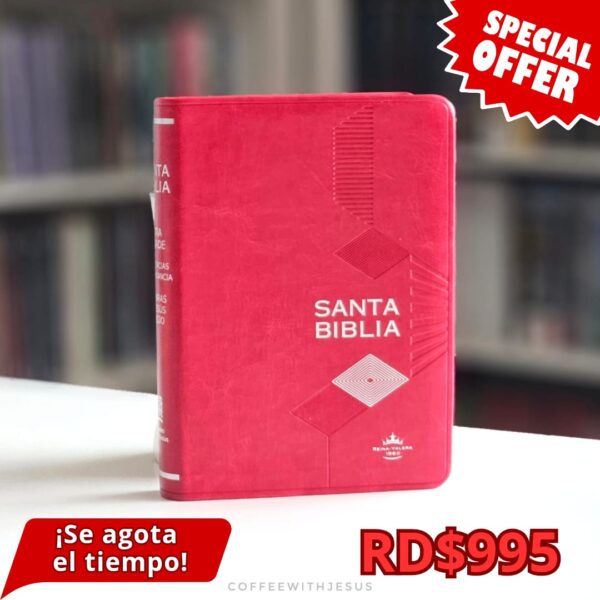 SANTA BIBLIA RVR60 Cereza Filo Plateado