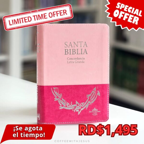 Biblia RVR60 Imitación Piel Rosa Duotono