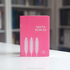 Biblia Reina Valera 1960 Mediana Fuscia