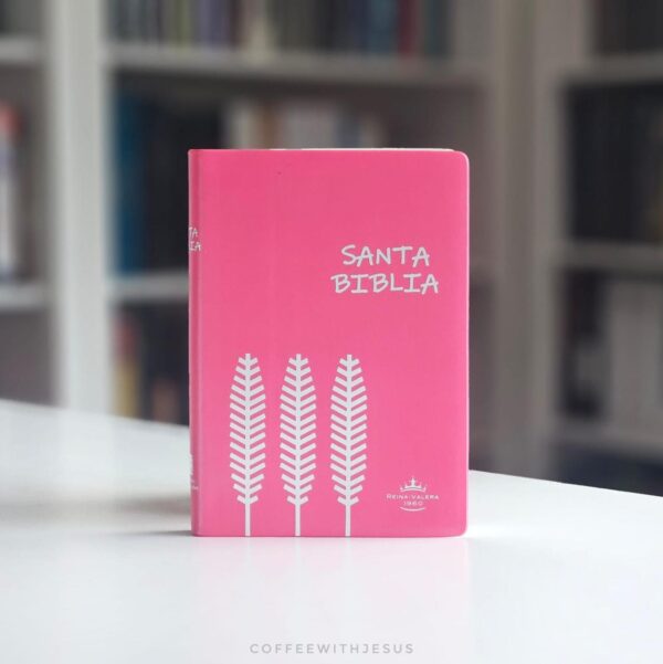 Biblia Reina Valera 1960 Mediana Fuscia