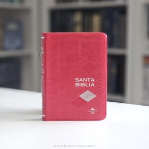 Santa Biblia RVR60 Cereza Filo Plateado