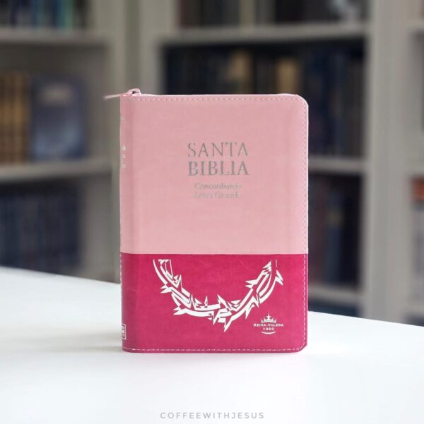 Biblia Reina Valera 1960 Letra Grande Rosa Duotono