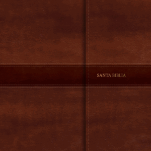 Biblia Reina Valera 1960 Compacta Letra Grande negro