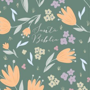 RVR 1960 Biblia letra grande tamaño manual edición especial, verde, símil piel